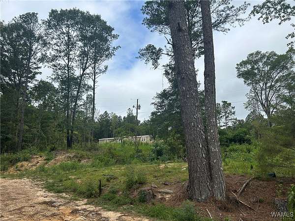 11 Acres of Land with Home for Sale in Fayette, Alabama