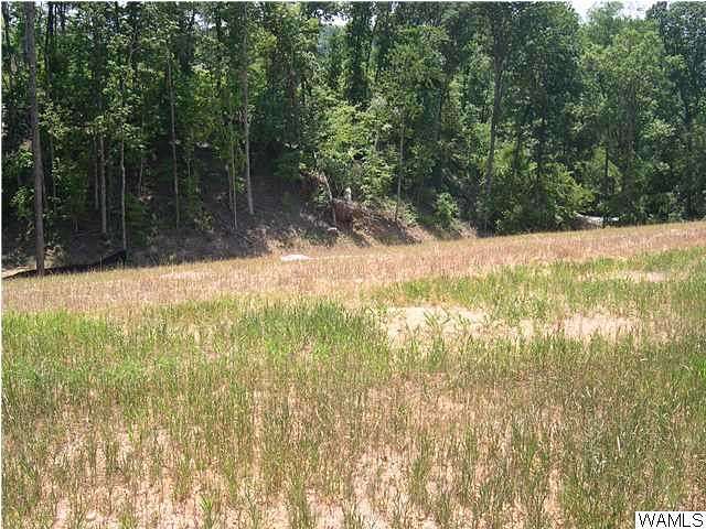 0.64 Acres of Land for Sale in Tuscaloosa, Alabama