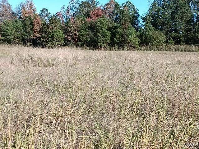 8 Acres of Residential Land for Sale in Gordo, Alabama