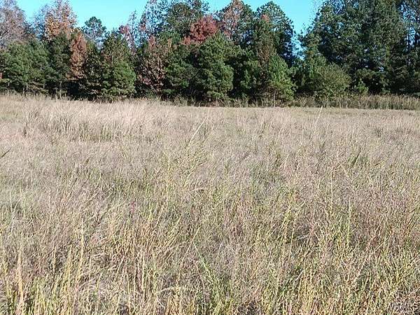 8 Acres of Residential Land for Sale in Gordo, Alabama