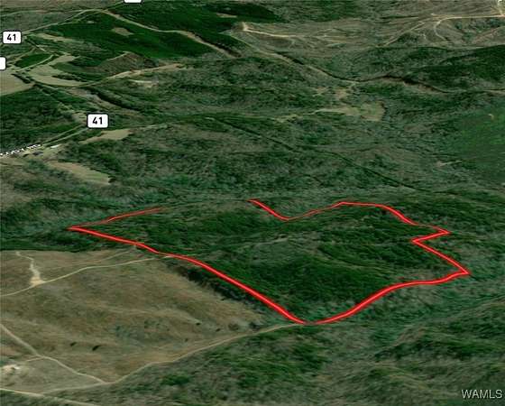 65 Acres of Recreational Land for Sale in Kennedy, Alabama