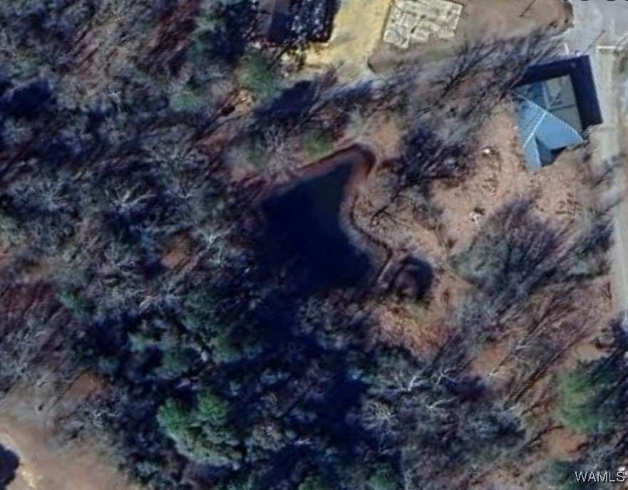 3.54 Acres of Improved Mixed-Use Land for Sale in Gainesville, Alabama