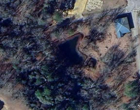 3.54 Acres of Improved Mixed-Use Land for Sale in Gainesville, Alabama