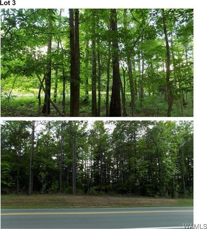 1.67 Acres of Residential Land for Sale in Tuscaloosa, Alabama
