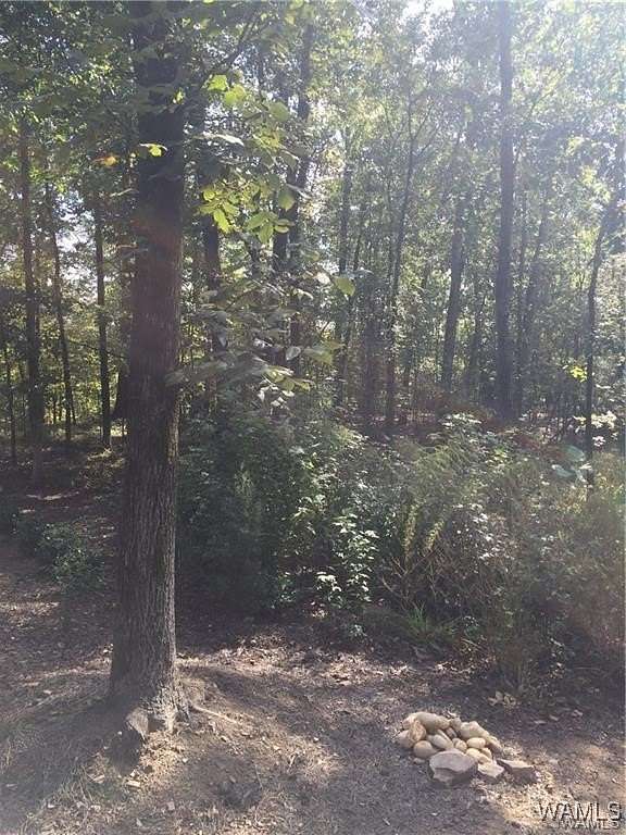 0.45 Acres of Land for Sale in Tuscaloosa, Alabama