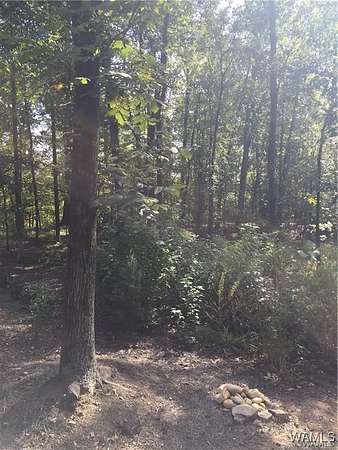 0.45 Acres of Land for Sale in Tuscaloosa, Alabama