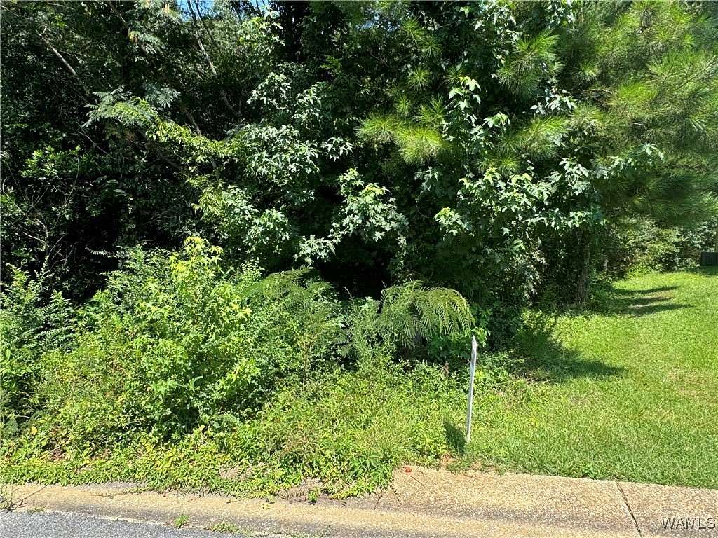 1 Acre of Residential Land for Sale in Fosters, Alabama