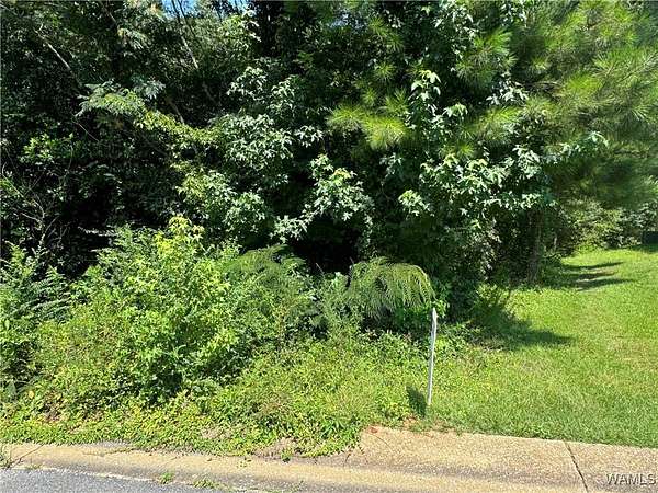 1 Acre of Residential Land for Sale in Fosters, Alabama