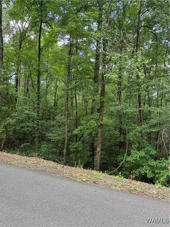 0.73 Acres of Residential Land for Sale in Tuscaloosa, Alabama