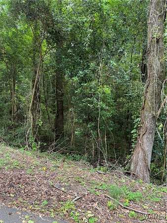 1.2 Acres of Residential Land for Sale in Tuscaloosa, Alabama