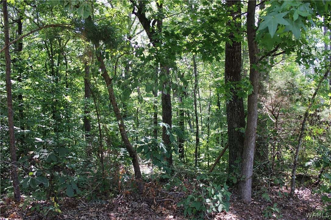 0.48 Acres of Residential Land for Sale in McCalla, Alabama