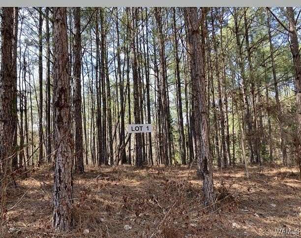 3.36 Acres of Land for Sale in Northport, Alabama