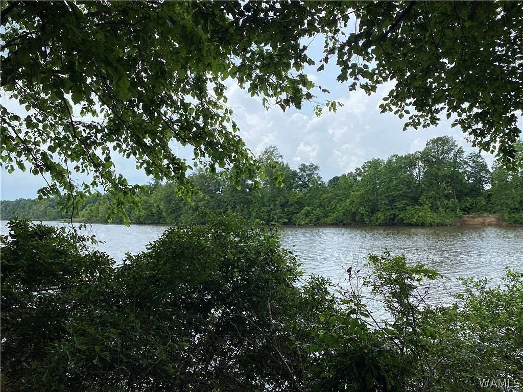 0.55 Acres of Residential Land for Sale in Eutaw, Alabama