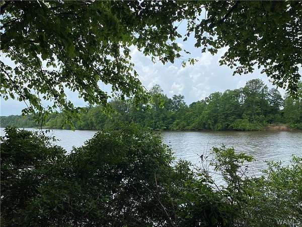 0.55 Acres of Residential Land for Sale in Eutaw, Alabama