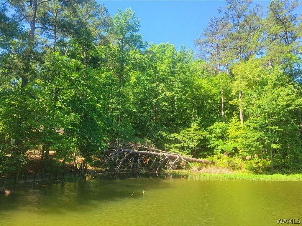 1.67 Acres of Residential Land for Sale in Northport, Alabama