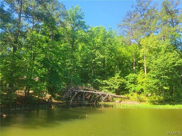 1.67 Acres of Residential Land for Sale in Northport, Alabama