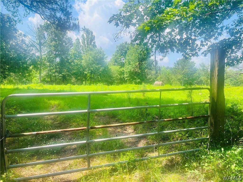 19 Acres of Agricultural Land for Sale in York, Alabama