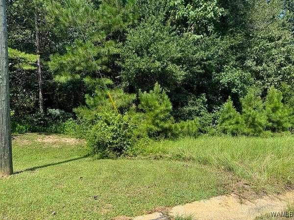 0.5 Acres of Land for Sale in Fosters, Alabama