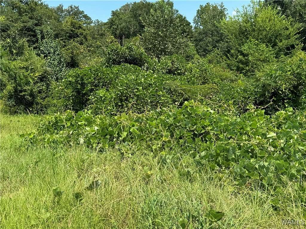 0.5 Acres of Residential Land for Sale in Fosters, Alabama