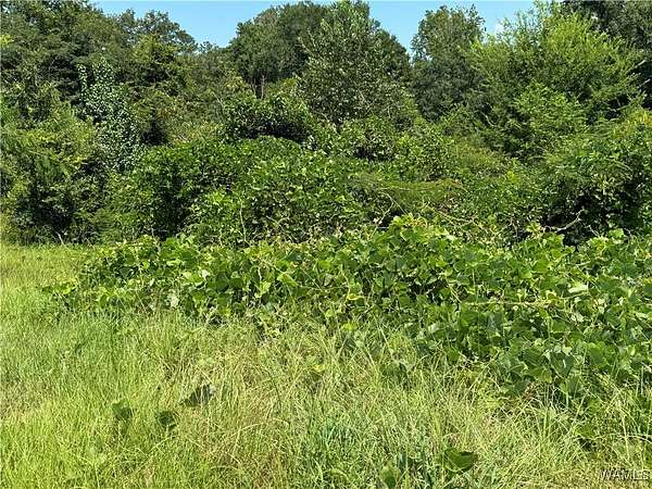 0.5 Acres of Residential Land for Sale in Fosters, Alabama