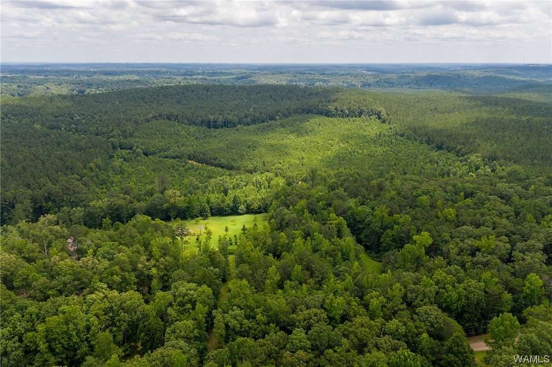 50 Acres of Land for Sale in McCalla, Alabama