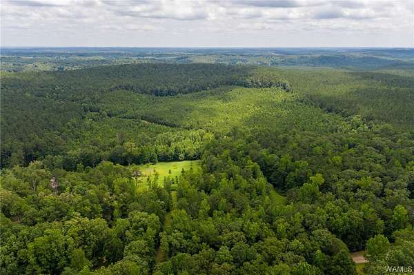 50 Acres of Land for Sale in McCalla, Alabama