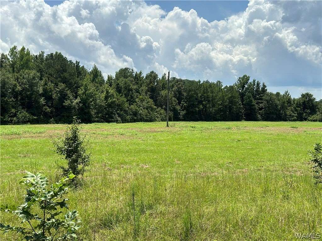 45.4 Acres of Mixed-Use Land for Sale in Tuscaloosa, Alabama