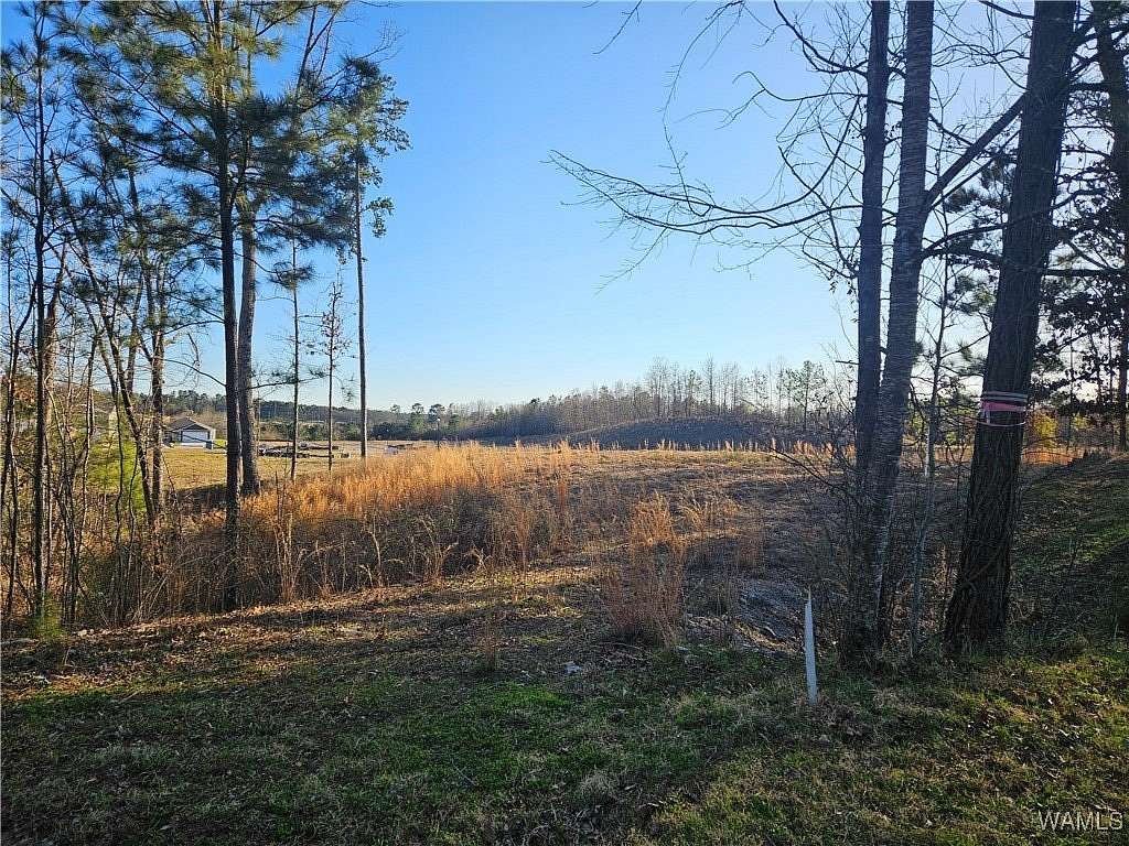 0.78 Acres of Residential Land for Sale in Northport, Alabama