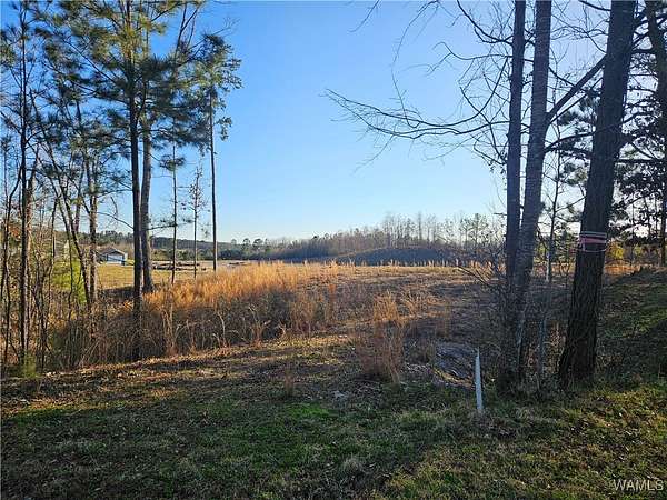 0.78 Acres of Residential Land for Sale in Northport, Alabama