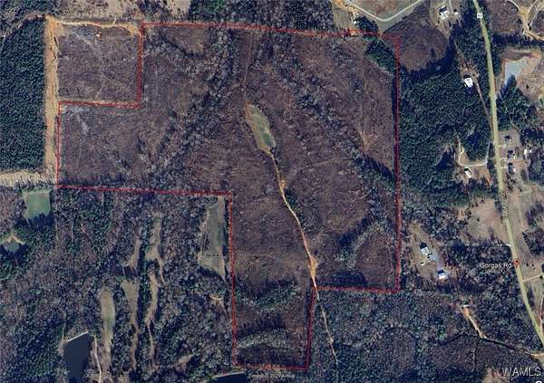 100 Acres of Land for Sale in Berry, Alabama