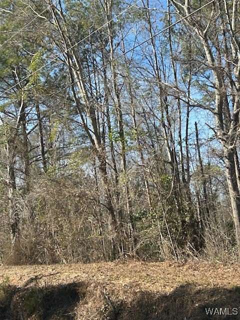 10 Acres of Commercial Land for Sale in Gordo, Alabama