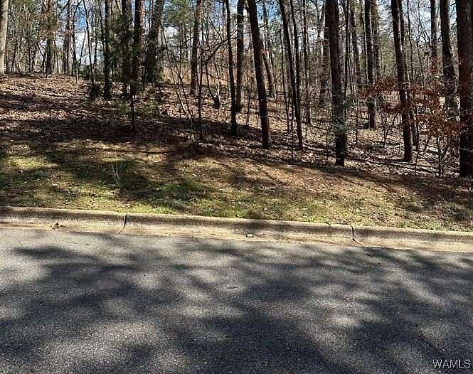 0.78 Acres of Residential Land for Sale in Tuscaloosa, Alabama