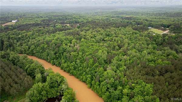 8.8 Acres of Mixed-Use Land for Sale in Northport, Alabama