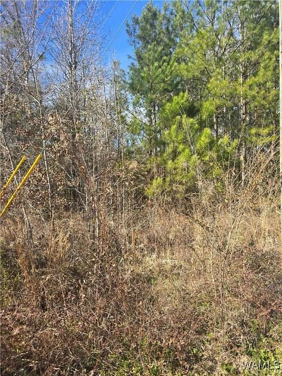 1.52 Acres of Land for Sale in Fosters, Alabama