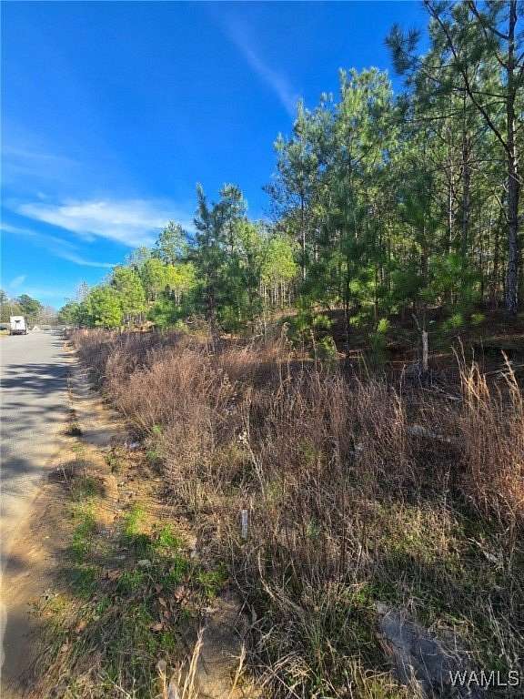 0.3 Acres of Land for Sale in Fosters, Alabama