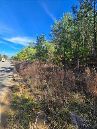 0.38 Acres of Land for Sale in Fosters, Alabama