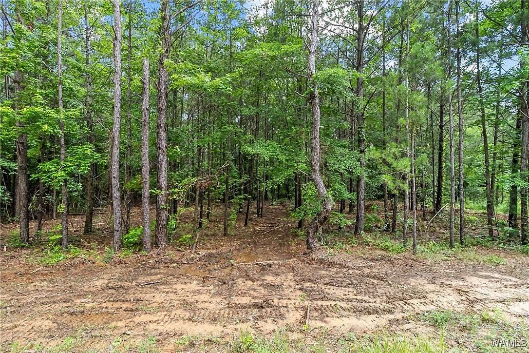 5 Acres of Residential Land for Sale in Northport, Alabama