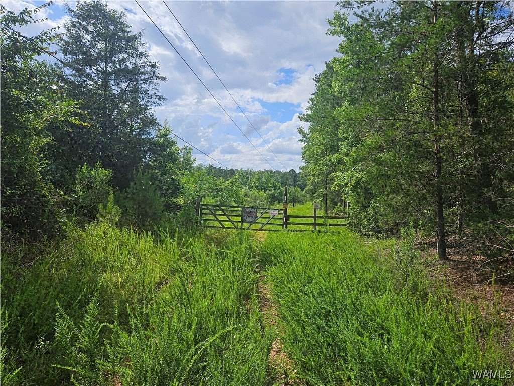 239 Acres of Recreational Land for Sale in West Blocton, Alabama