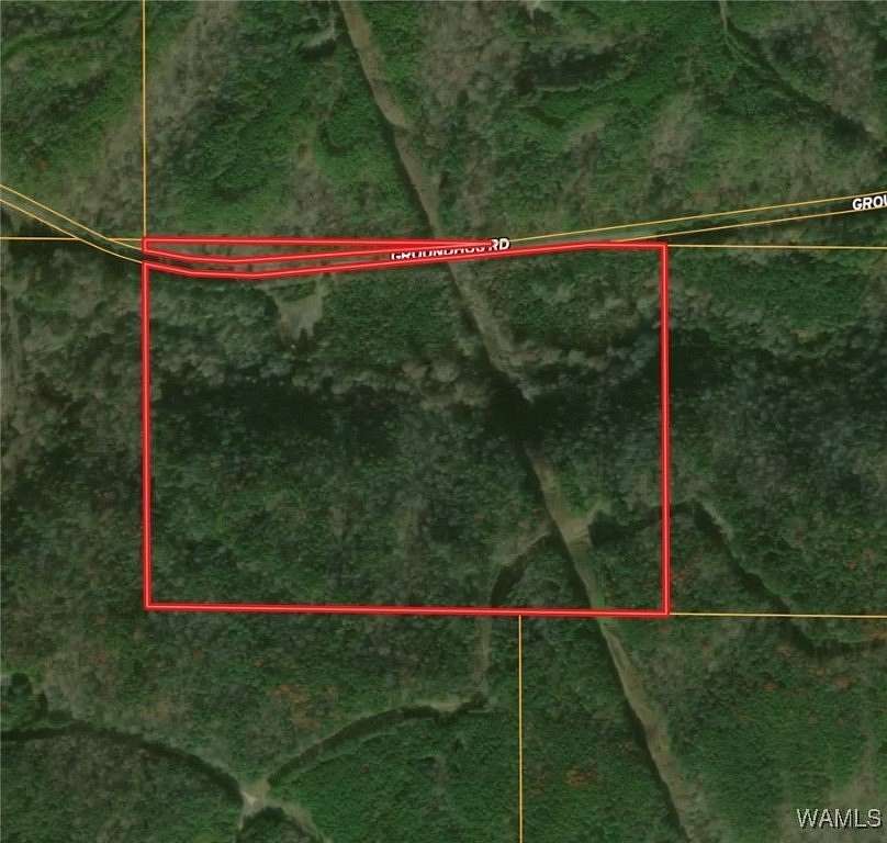57 Acres of Recreational Land for Sale in Adger, Alabama