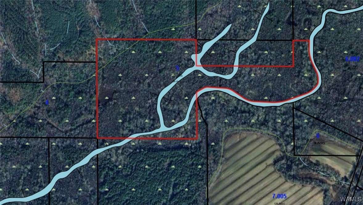 64 Acres of Recreational Land for Sale in Vernon, Alabama