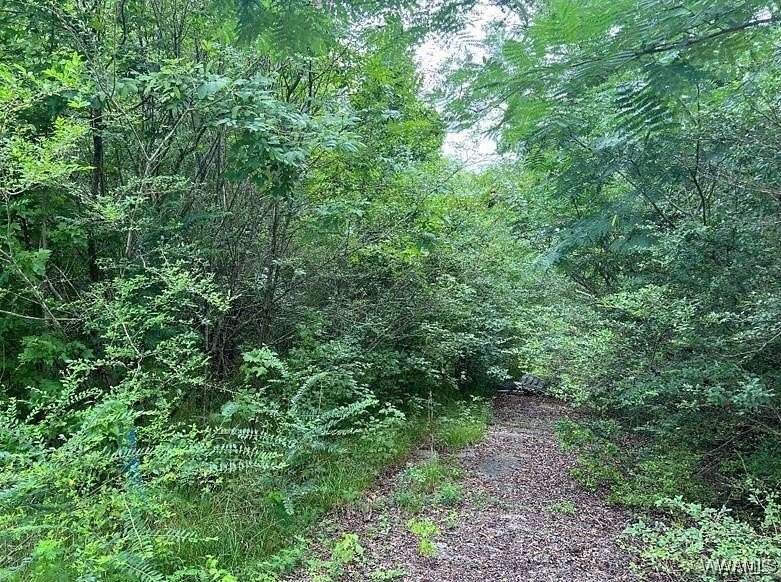 1.2 Acres of Land for Sale in Vance, Alabama