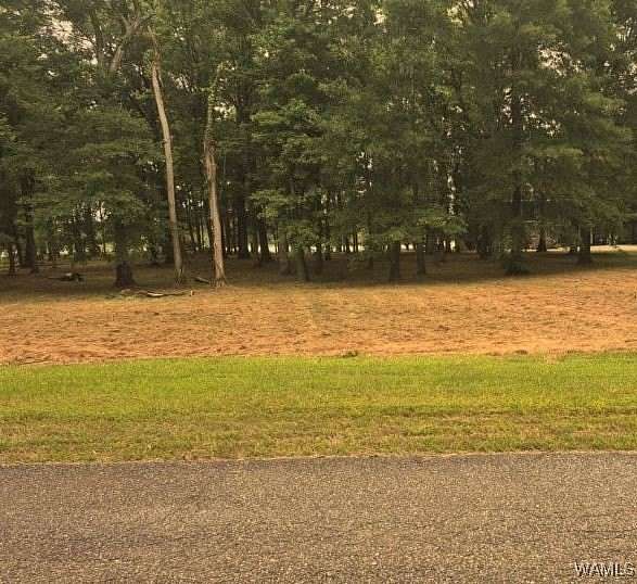 1 Acre of Land for Sale in Akron, Alabama