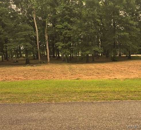 1 Acre of Land for Sale in Akron, Alabama