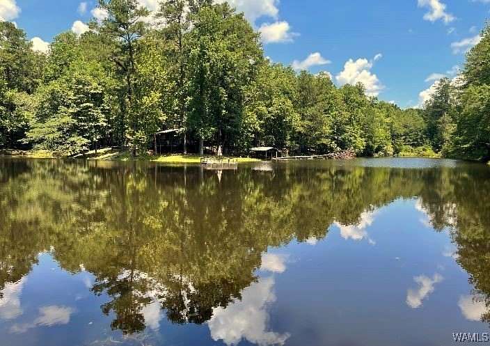 390 Acres of Recreational Land for Sale in Northport, Alabama