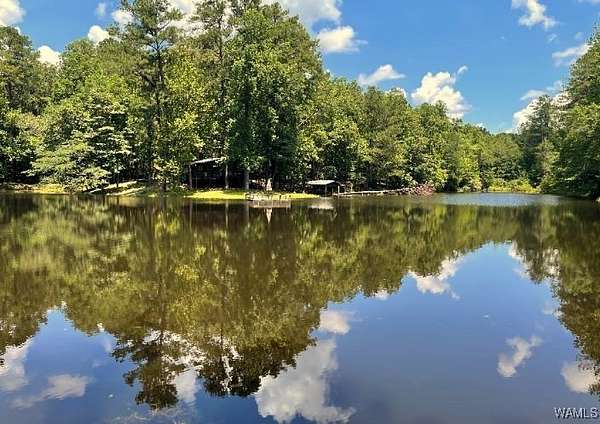 390 Acres of Recreational Land for Sale in Northport, Alabama