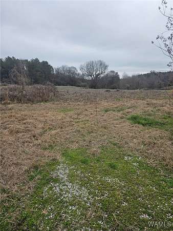1 Acre of Land for Sale in Greensboro, Alabama