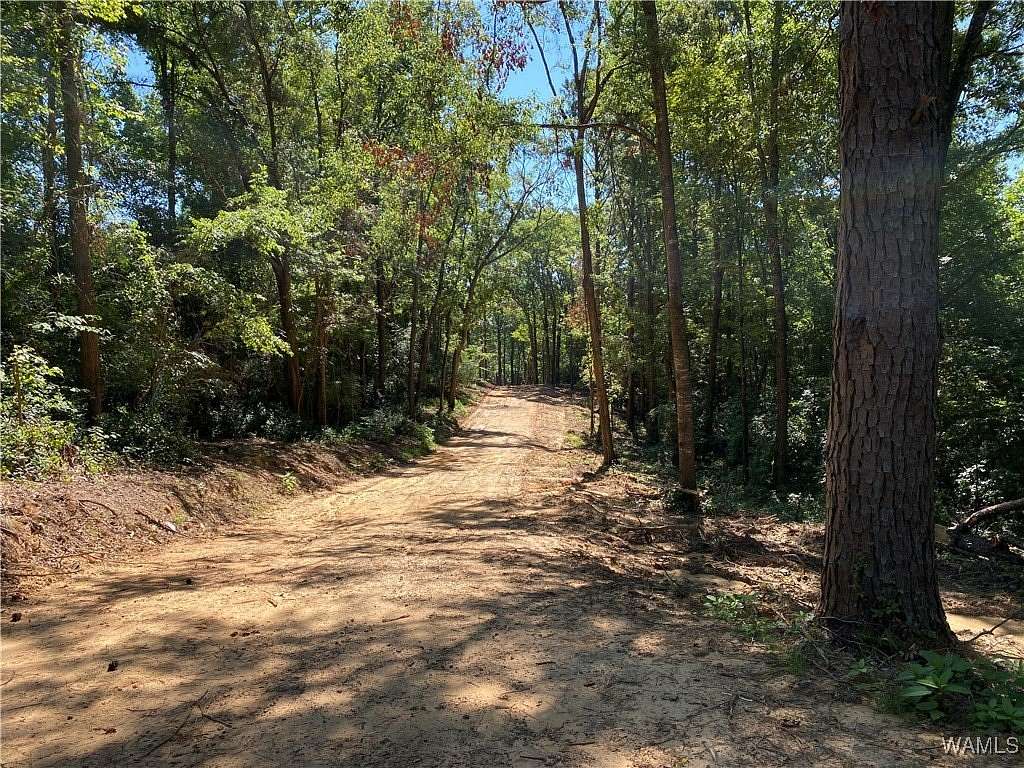 144 Acres of Recreational Land for Sale in Northport, Alabama