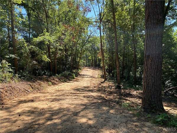 144 Acres of Recreational Land for Sale in Northport, Alabama