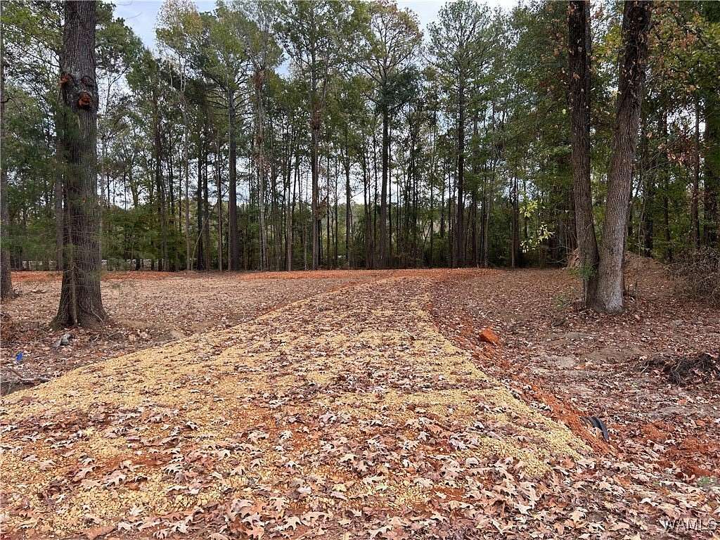 0.66 Acres of Residential Land for Sale in Pickensville, Alabama