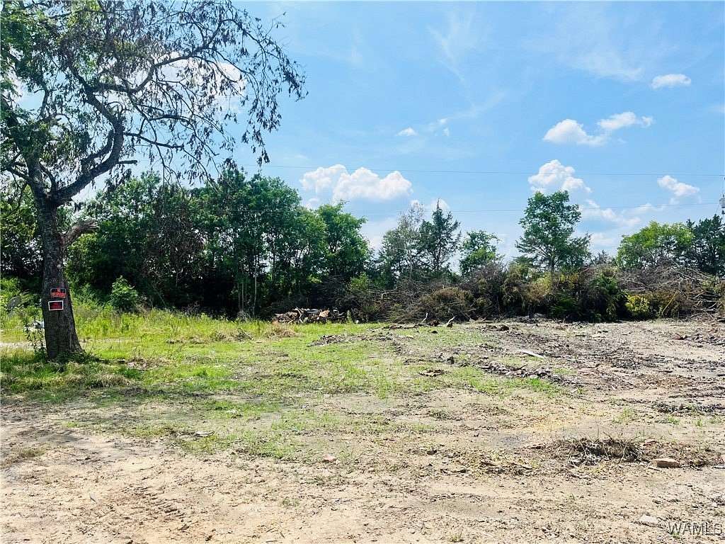 1 Acre of Residential Land for Sale in Faunsdale, Alabama